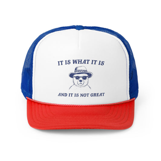 It Is What It Is And It Is Not Great Trucker Hat, Funny Hats, Gift Hat, Parody Trucker Hat, Tiktok, Trendy Hats, Meme Hats, Cute Animal Hats