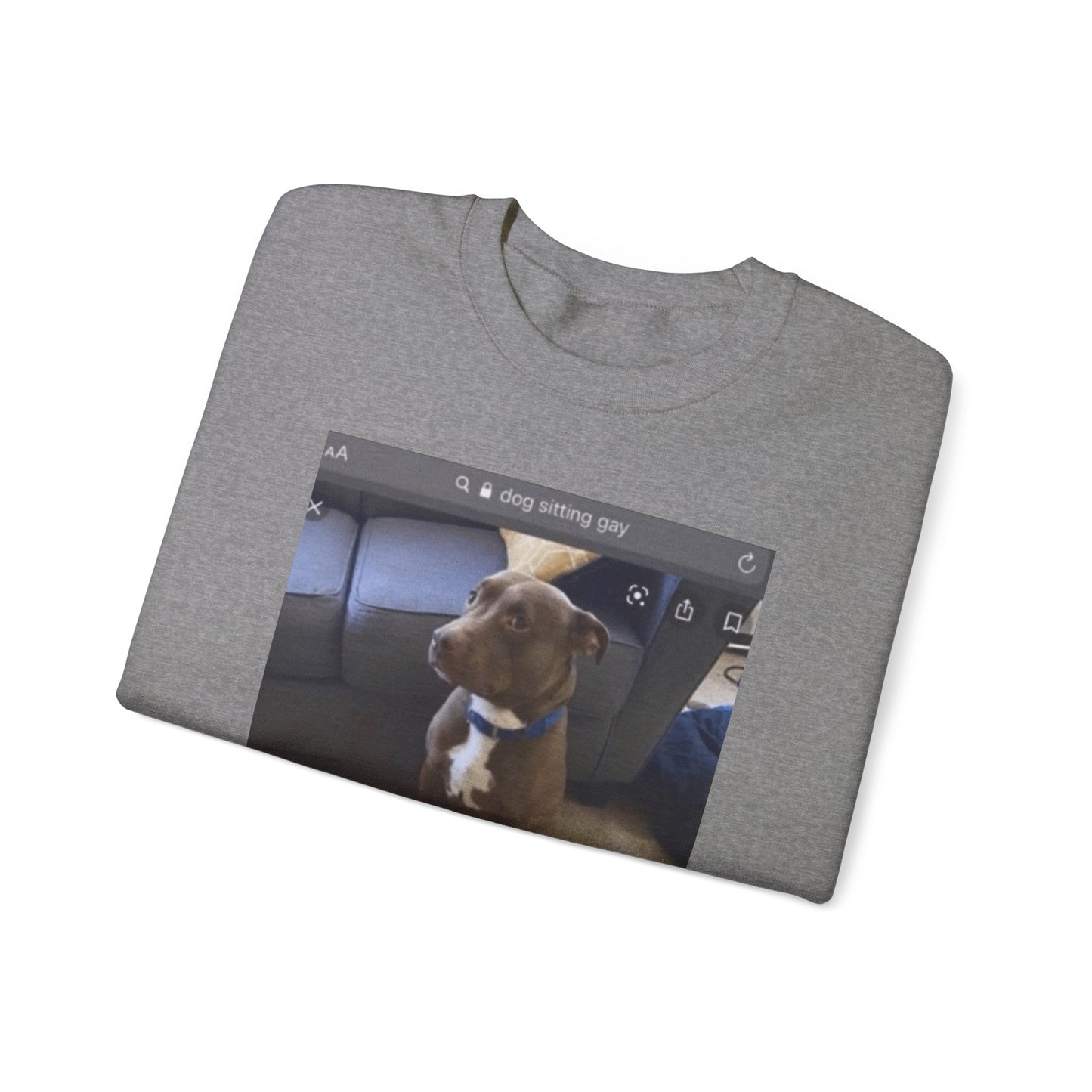 Dog Sitting Gay Meme Adult Unisex Crewneck,  Gift Shirt, Parody crewneck