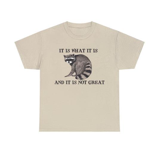 It Is What It Is, And It Is Not Great Adult Unisex Shirt, Funny Racoon Shirt