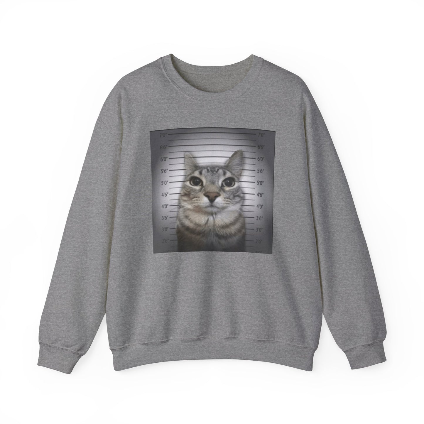 Cat Mugshot Adult Unisex Crewneck,  Gift Shirt, Parody crewneck