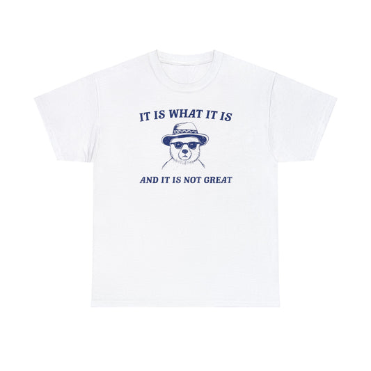 It Is What It Is And It Is Not Great T Shirt Unisex, Softcore Fairy Mental Health Comfy Tee, Tiktok Viral Cute Animals