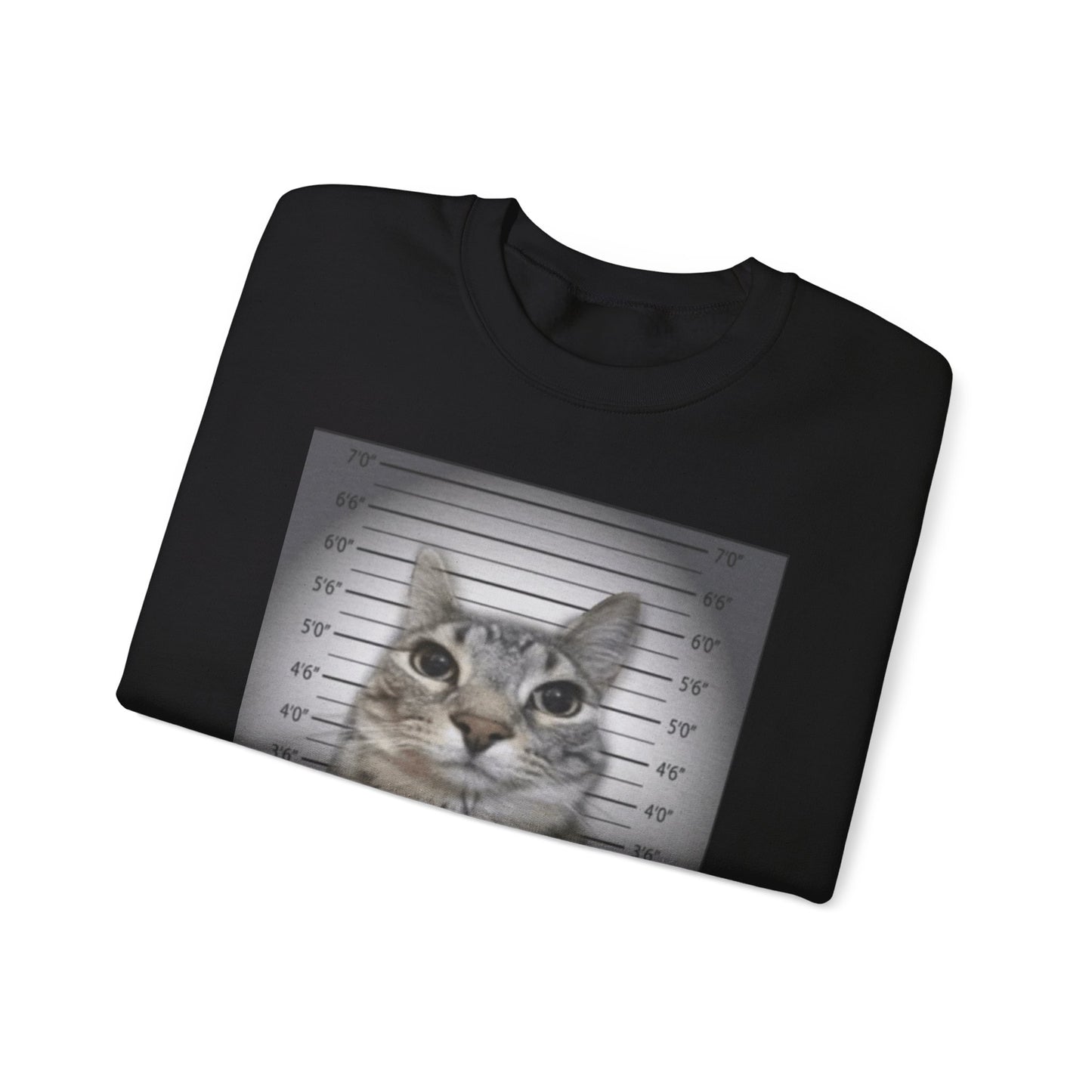 Cat Mugshot Adult Unisex Crewneck,  Gift Shirt, Parody crewneck