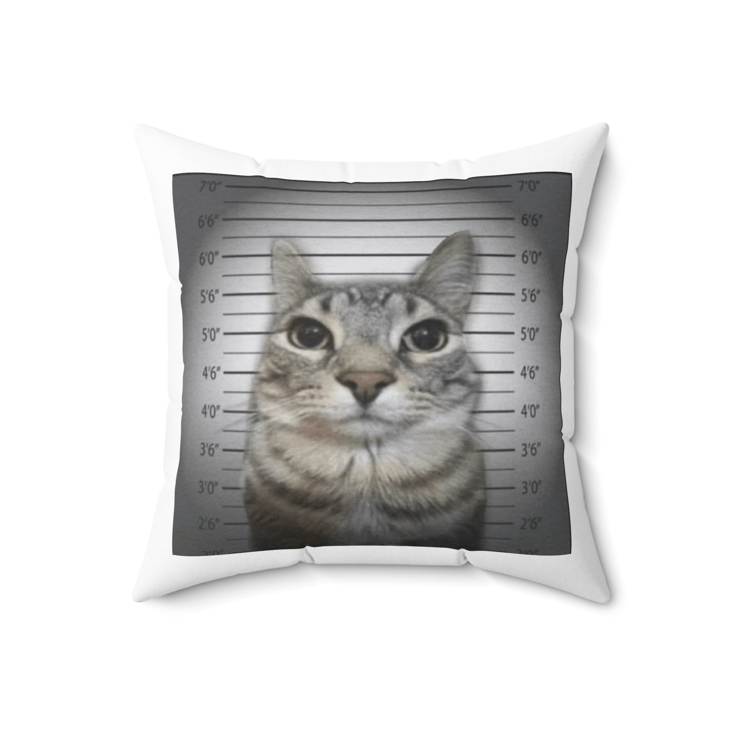 Funny Cat Mugshot Polyester Square Pillow