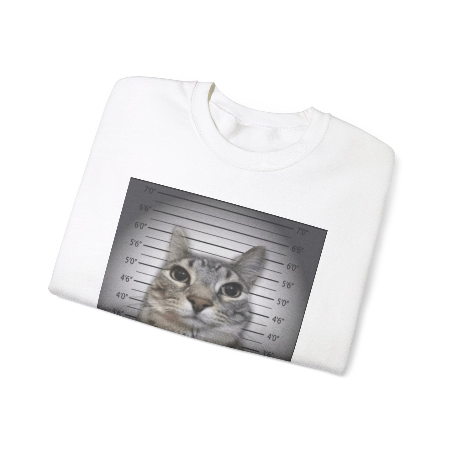 Cat Mugshot Adult Unisex Crewneck,  Gift Shirt, Parody crewneck