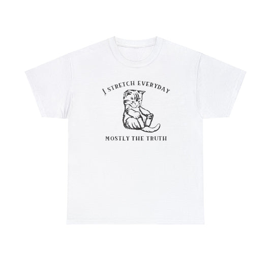 I Stretch Everyday, Mostly The Truth T Shirt Unisex, Softcore Fairy Mental Health Comfy Tee, Tiktok Viral Cute Animals