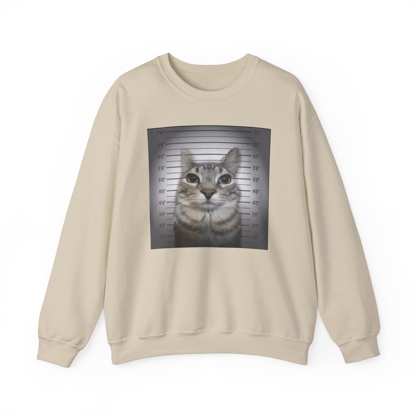 Cat Mugshot Adult Unisex Crewneck,  Gift Shirt, Parody crewneck