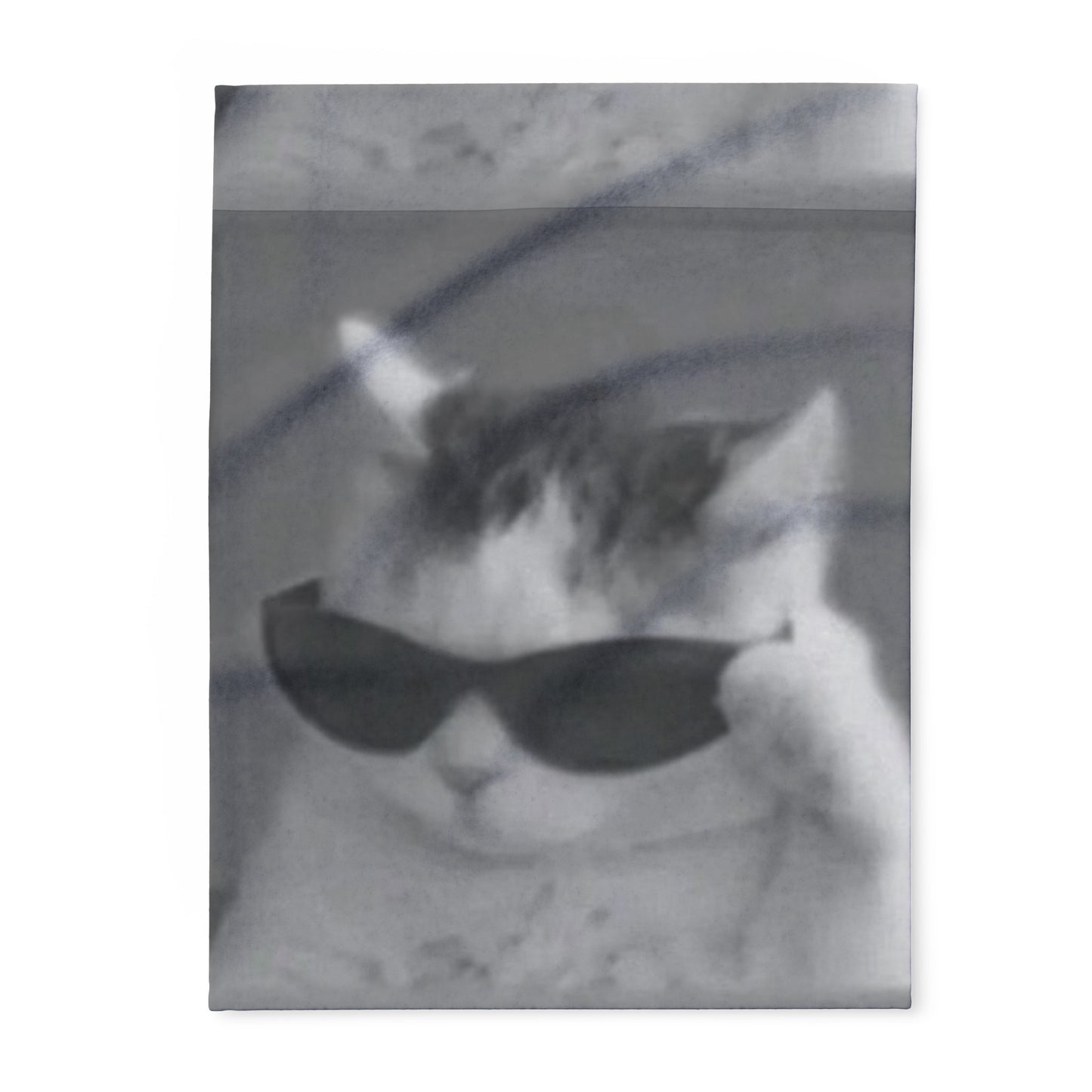 Cool Cat With Sunglasses Mugshot Arctic Fleece Blanket