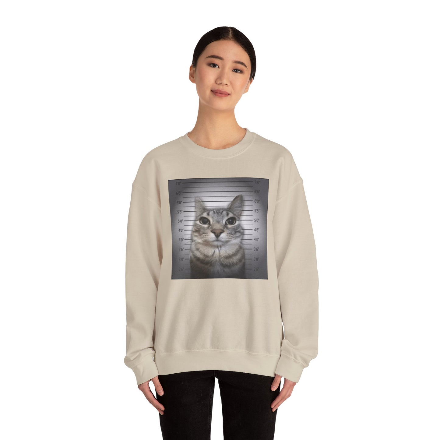 Cat Mugshot Adult Unisex Crewneck,  Gift Shirt, Parody crewneck