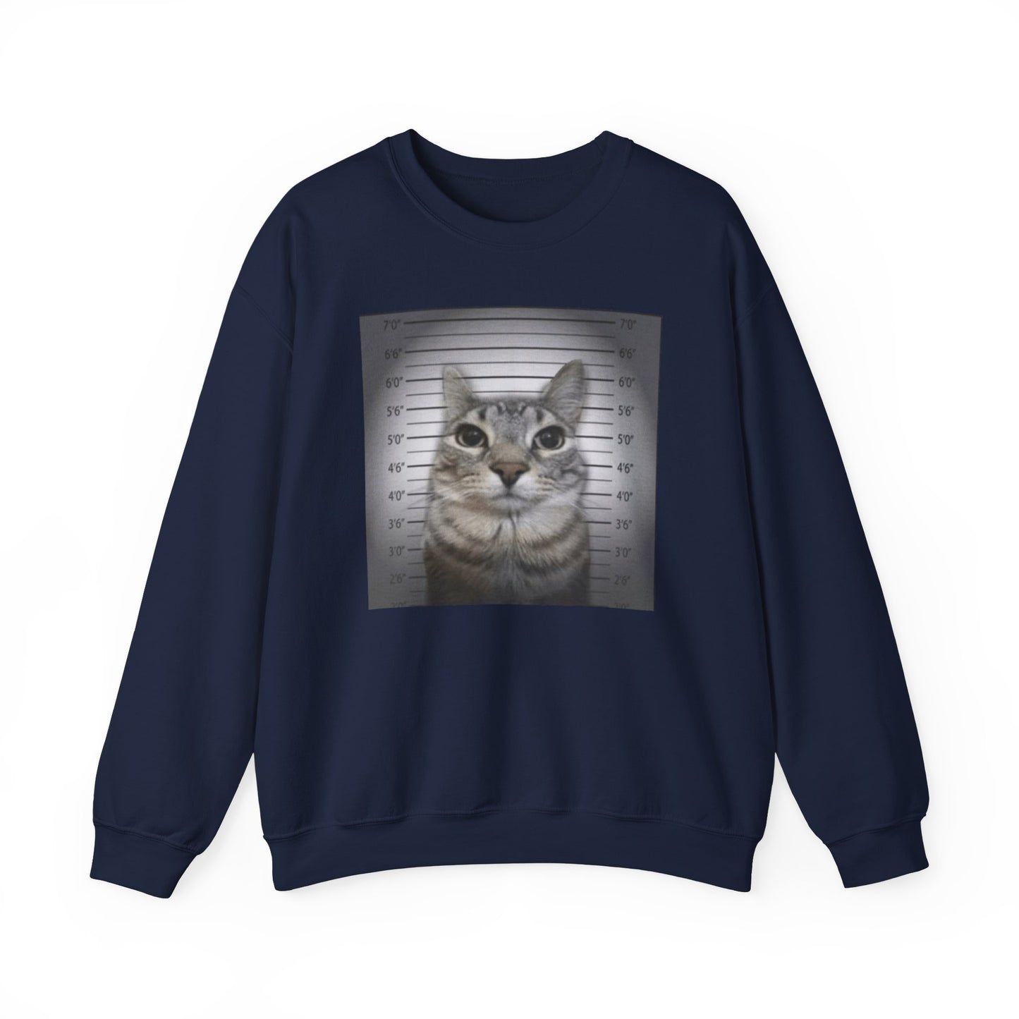 Cat Mugshot Adult Unisex Crewneck,  Gift Shirt, Parody crewneck