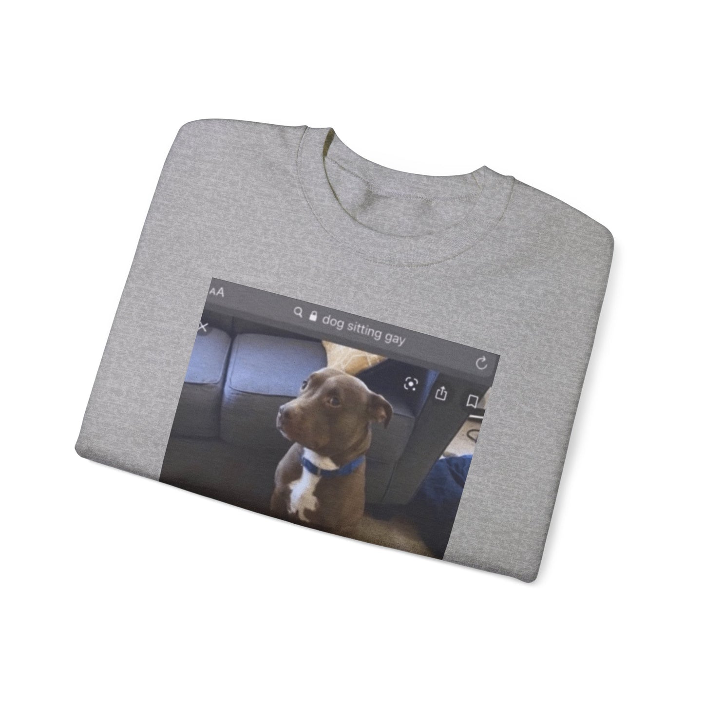 Dog Sitting Gay Meme Adult Unisex Crewneck,  Gift Shirt, Parody crewneck