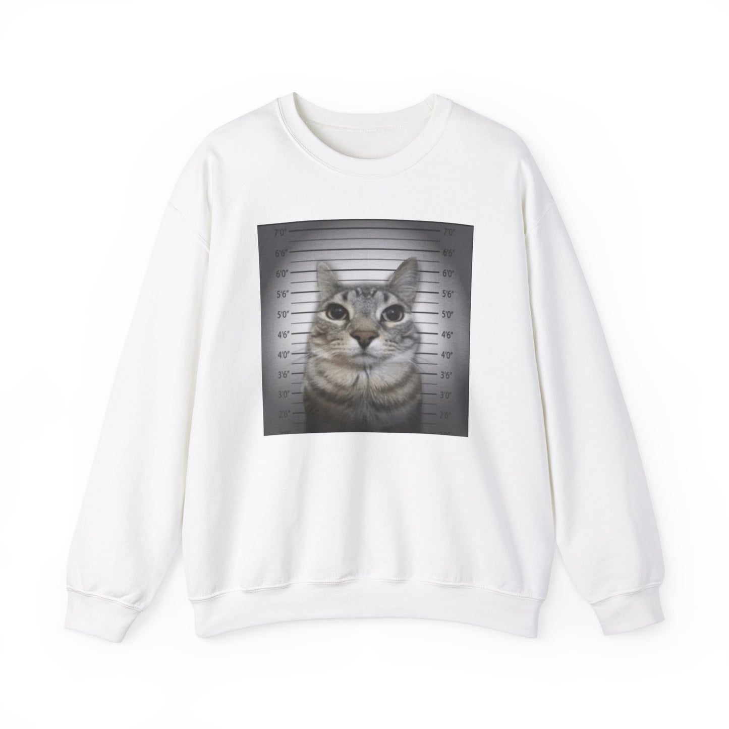 Cat Mugshot Adult Unisex Crewneck,  Gift Shirt, Parody crewneck