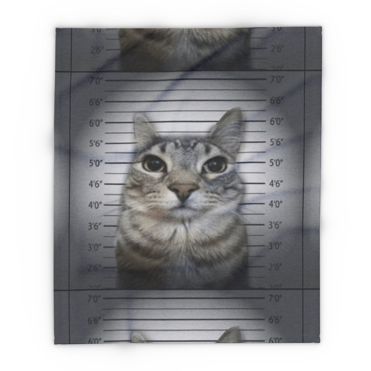 Cat Mugshot Arctic Fleece Blanket