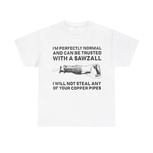 I Won't Steal Your Copper Pipes Funny Tee Unisex Shirt