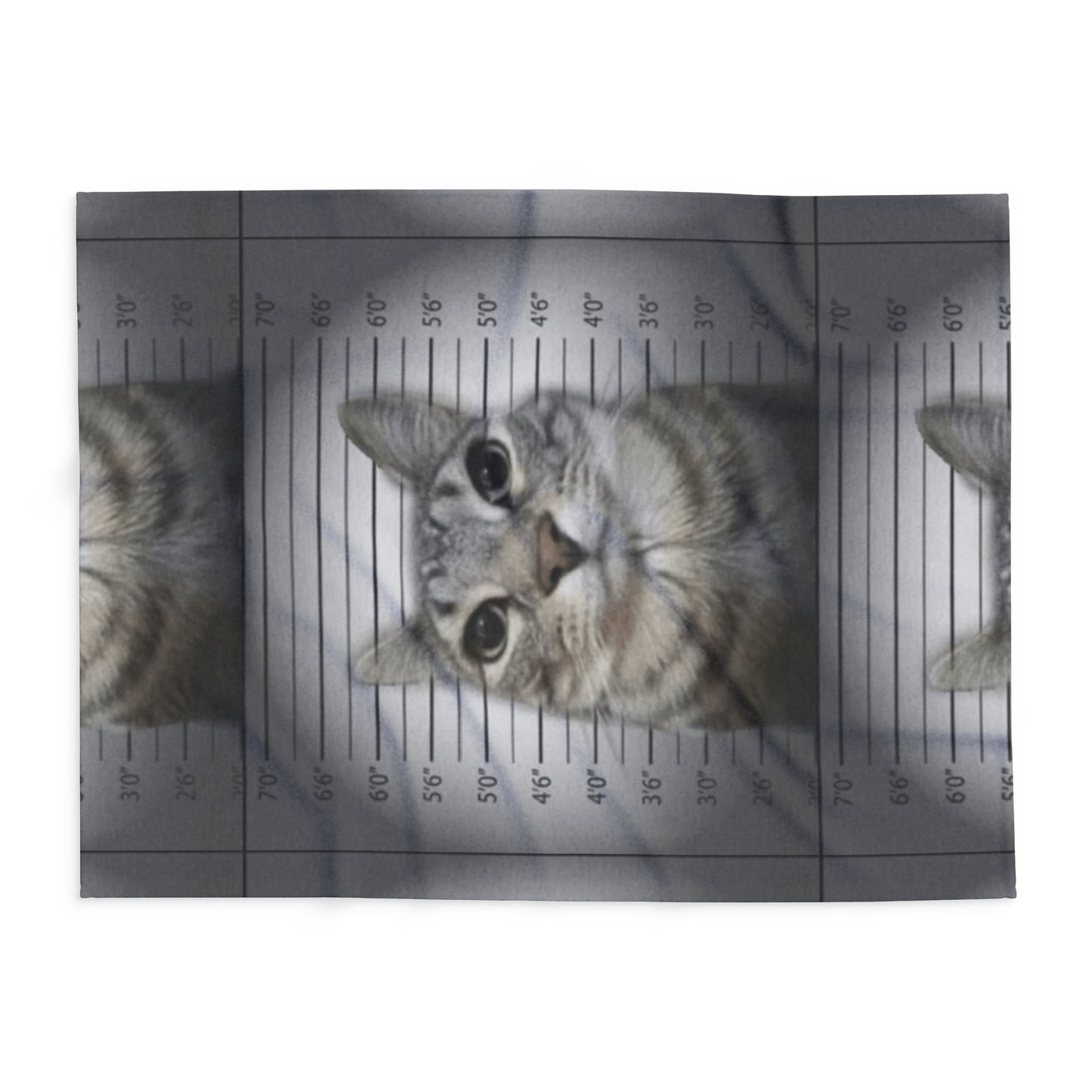 Cat Mugshot Arctic Fleece Blanket