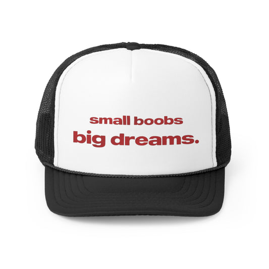 Small Boobs Big Dreams Trucker Hat, Funny Hats, Gift Hat, Parody Trucker Hat, Trendy Hats, Meme Hat