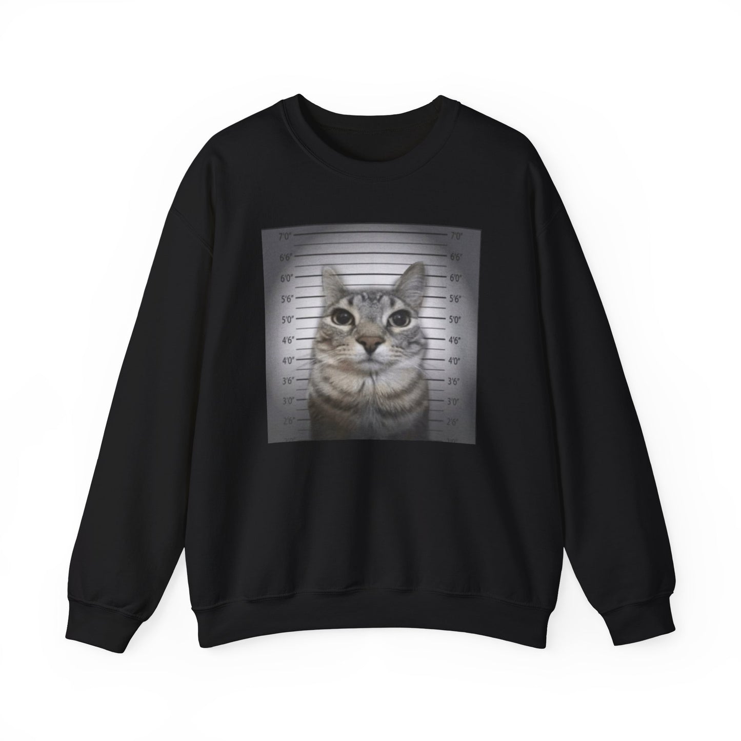 Cat Mugshot Adult Unisex Crewneck,  Gift Shirt, Parody crewneck