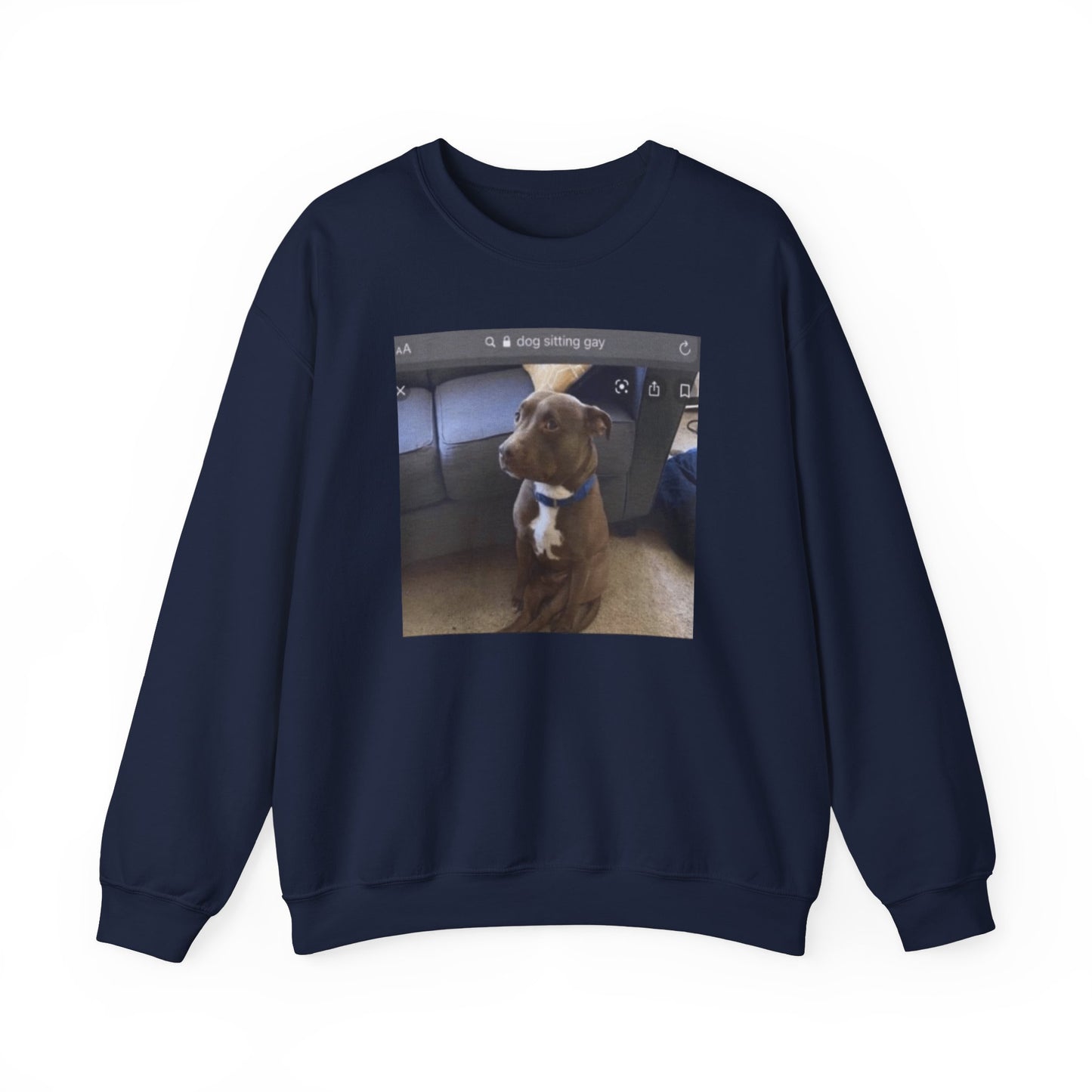 Dog Sitting Gay Meme Adult Unisex Crewneck,  Gift Shirt, Parody crewneck