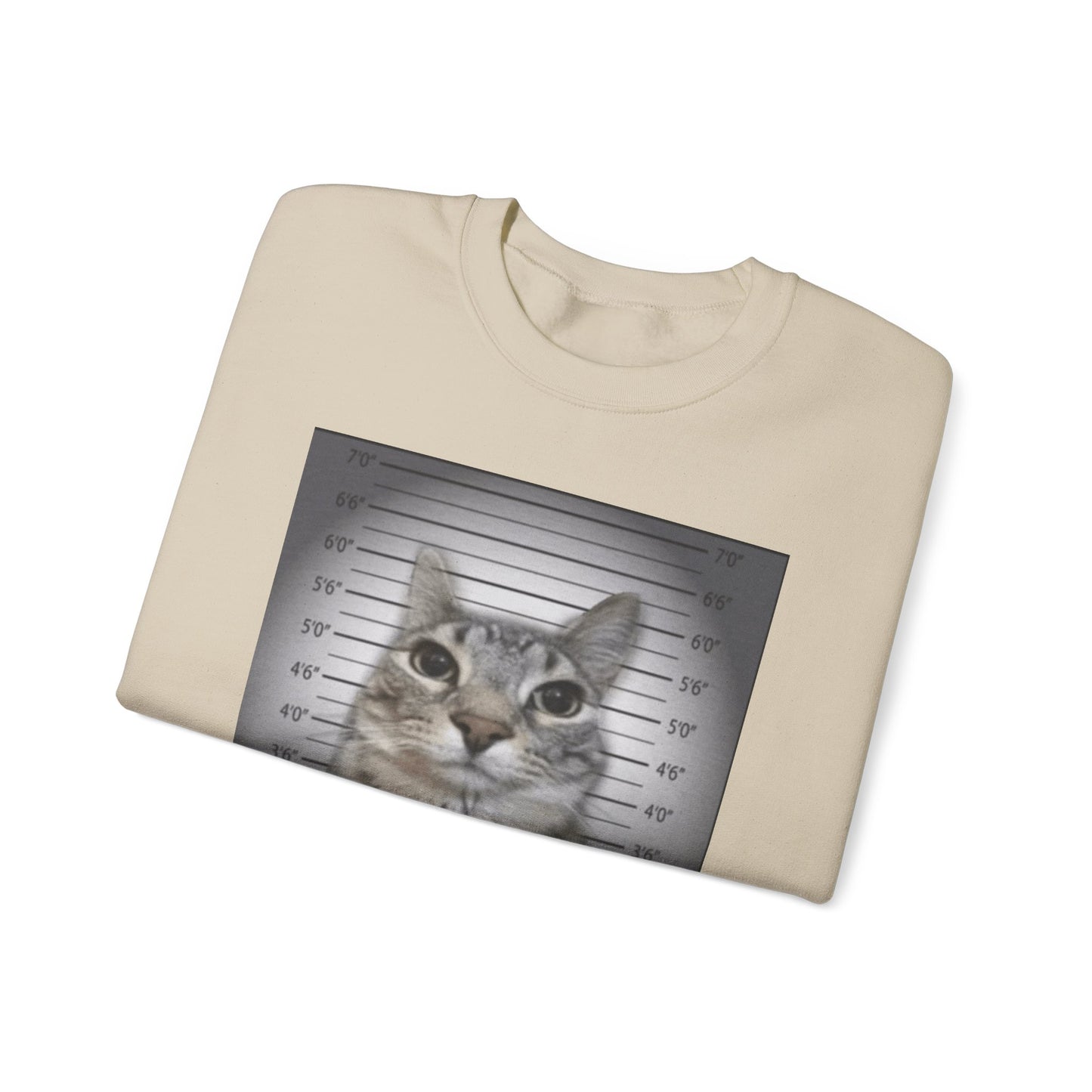 Cat Mugshot Adult Unisex Crewneck,  Gift Shirt, Parody crewneck