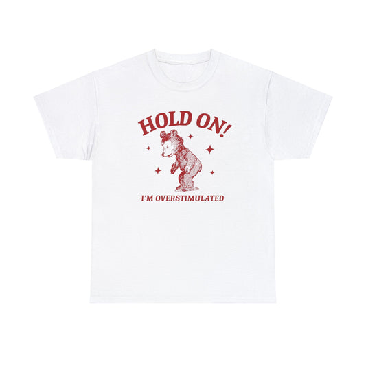 Hold On I'm Overstimulated T Shirt Unisex, Softcore Fairy Mental Health Comfy Tee, Tiktok Viral Cute Animals