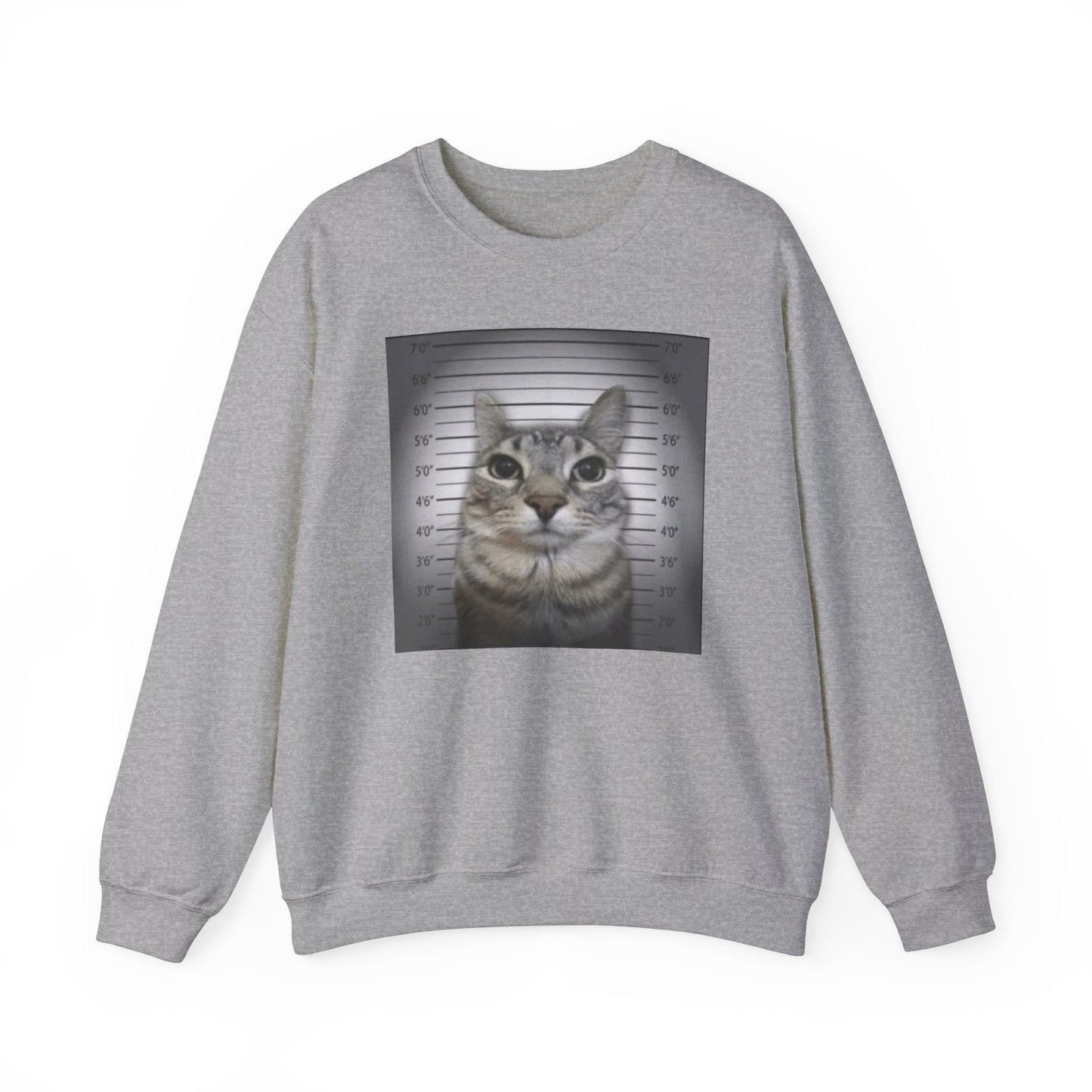 Cat Mugshot Adult Unisex Crewneck,  Gift Shirt, Parody crewneck