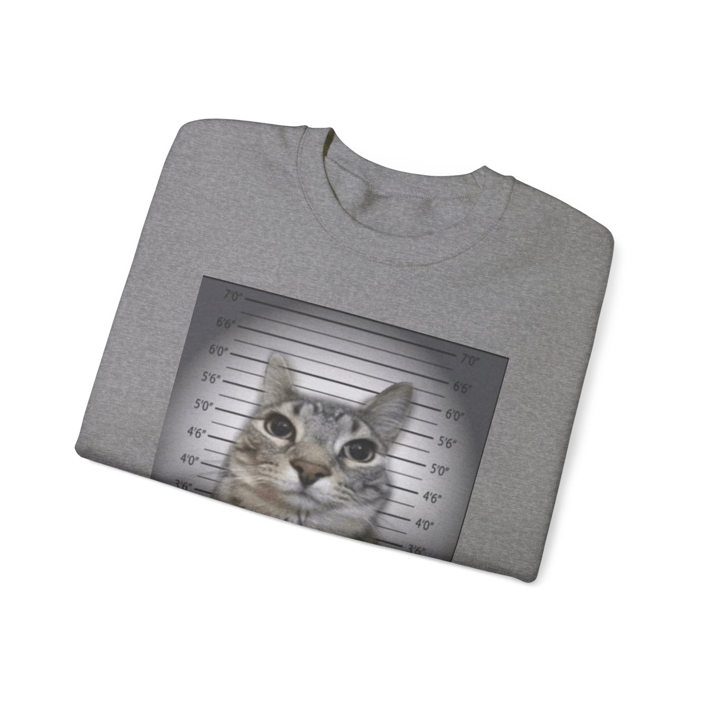 Cat Mugshot Adult Unisex Crewneck,  Gift Shirt, Parody crewneck