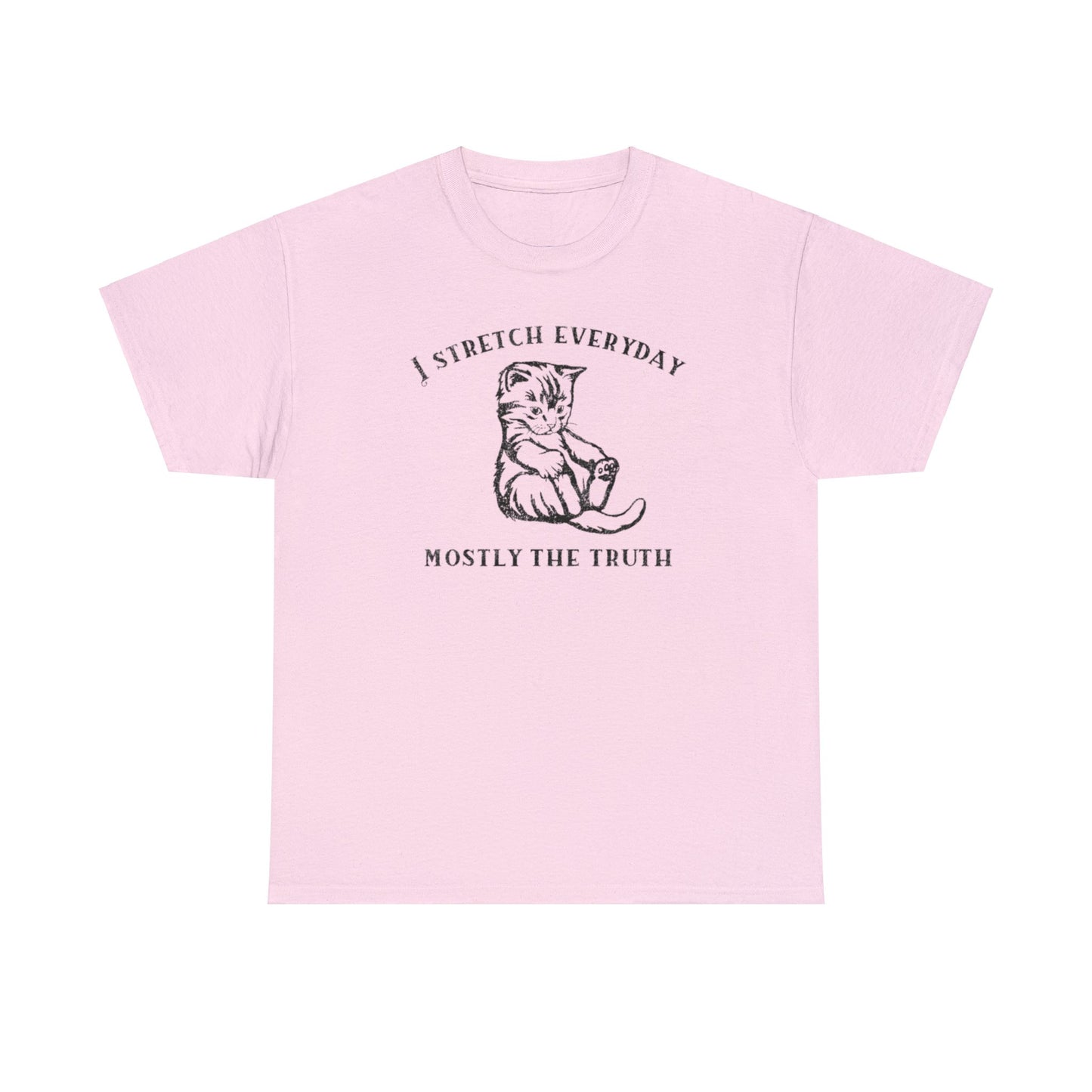 I Stretch Everyday, Mostly The Truth T Shirt Unisex, Softcore Fairy Mental Health Comfy Tee, Tiktok Viral Cute Animals