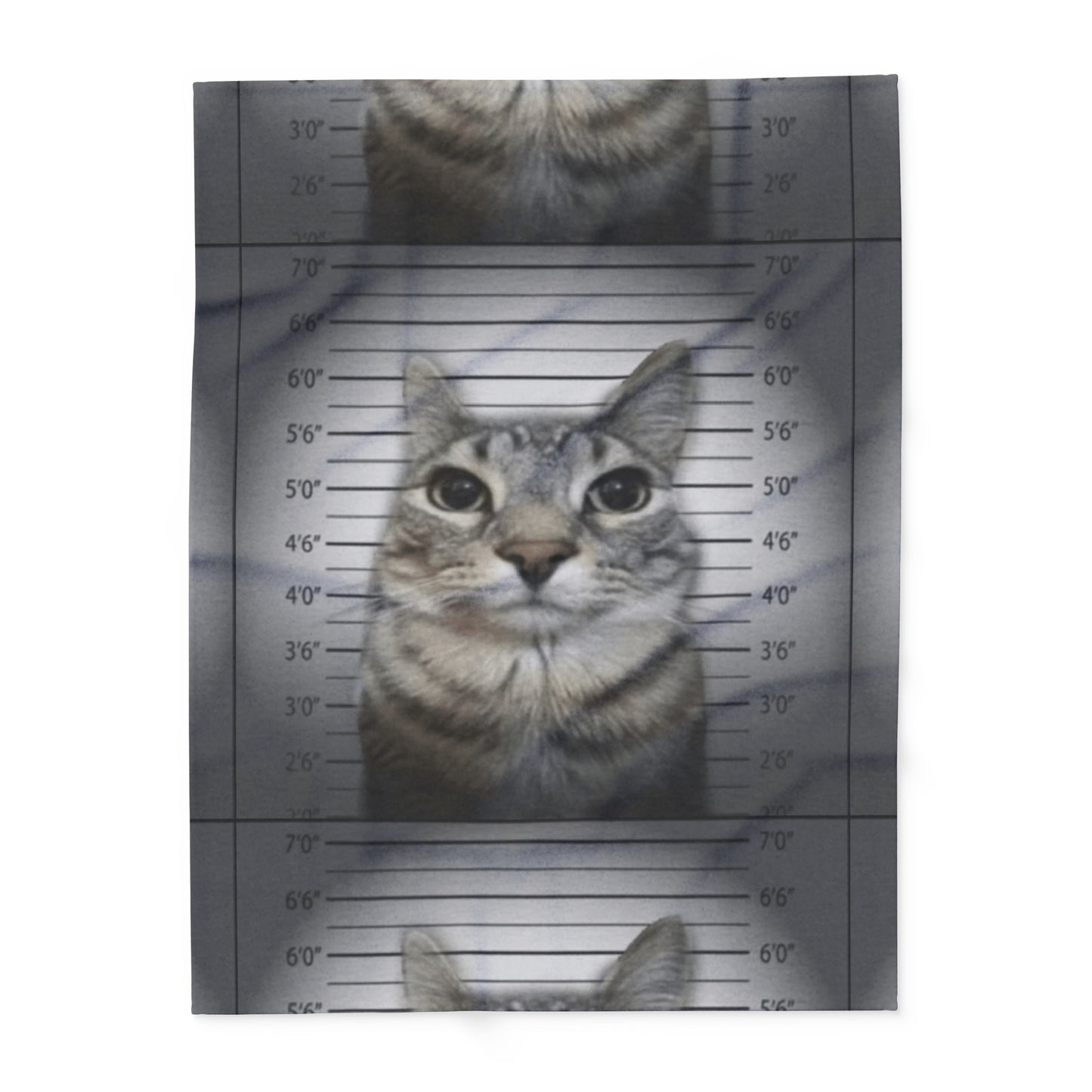 Cat Mugshot Arctic Fleece Blanket