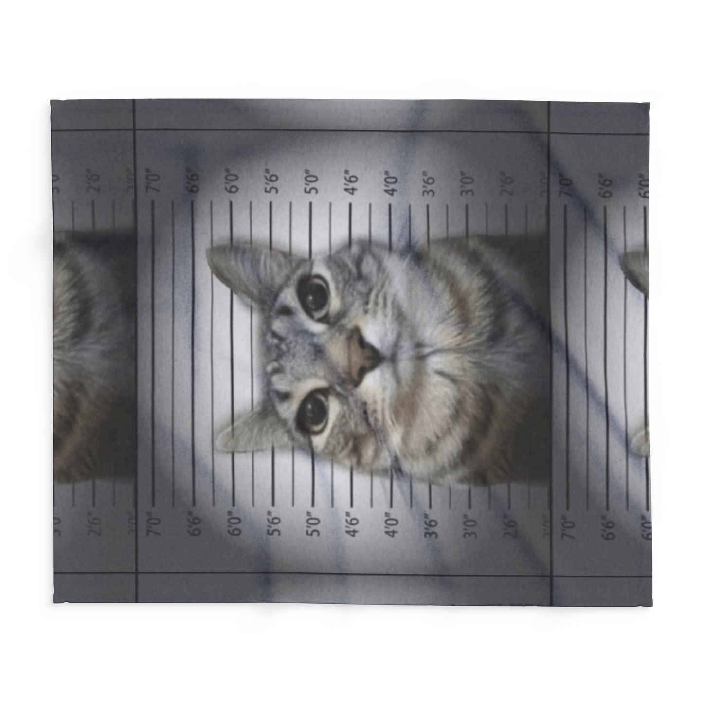 Cat Mugshot Arctic Fleece Blanket