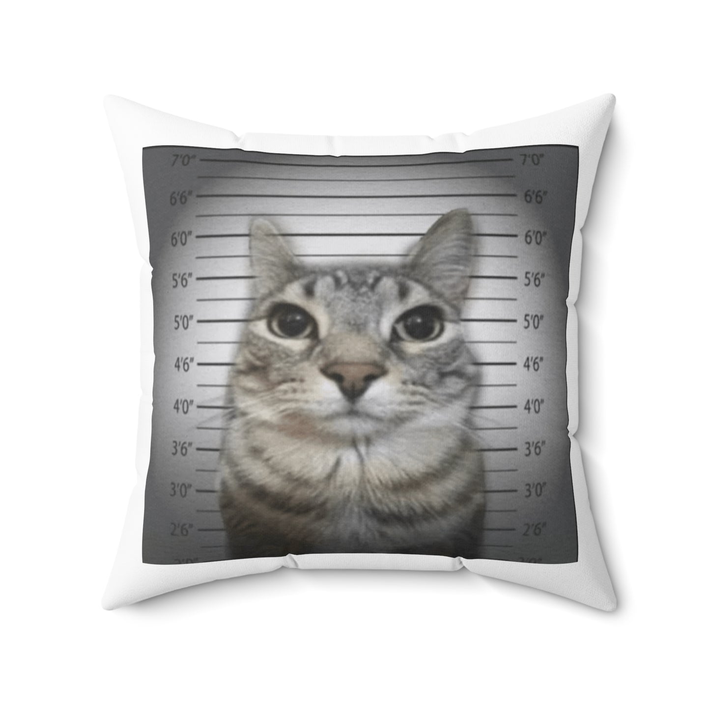 Funny Cat Mugshot Polyester Square Pillow