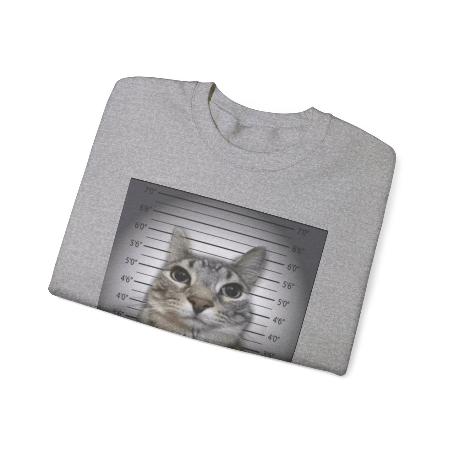 Cat Mugshot Adult Unisex Crewneck,  Gift Shirt, Parody crewneck