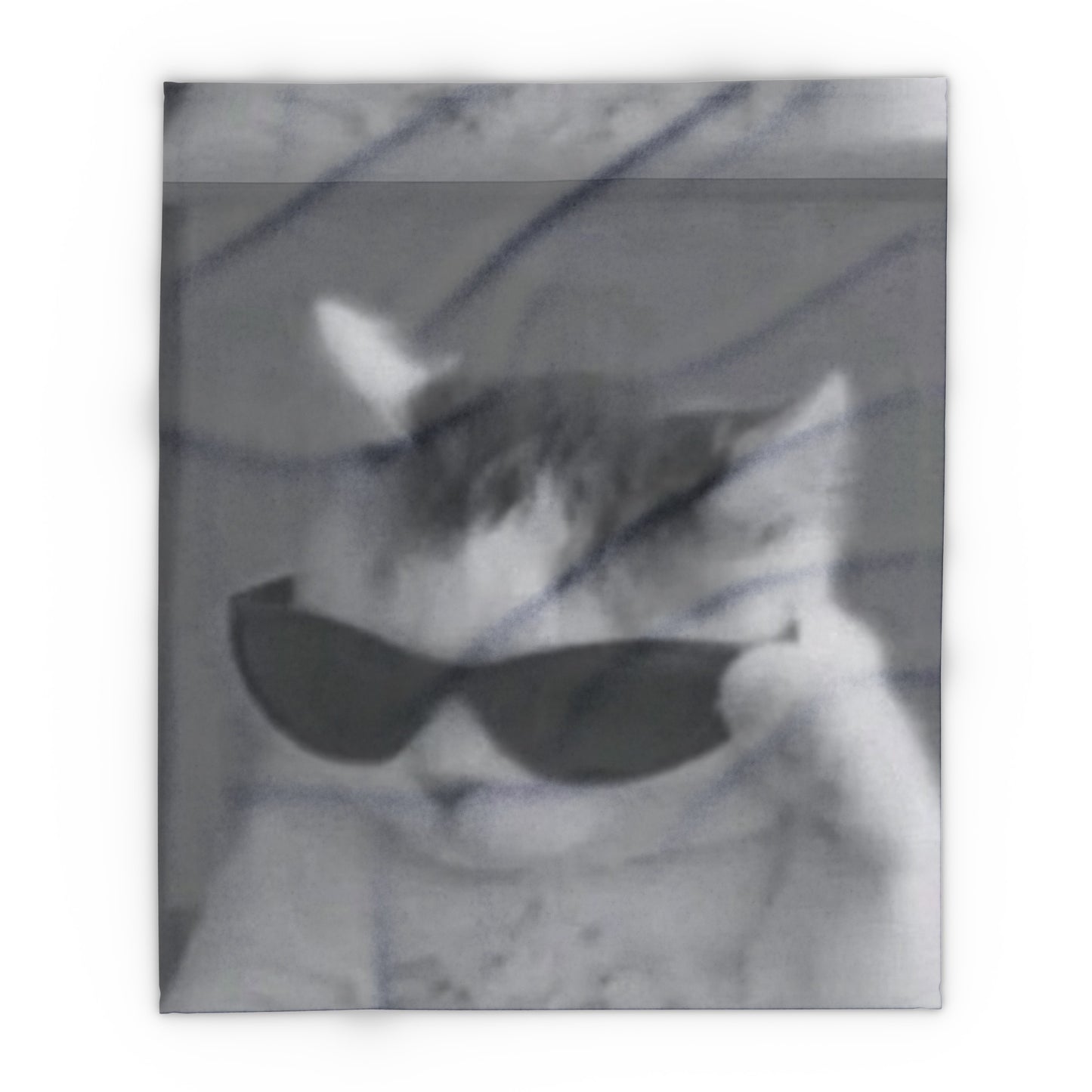 Cool Cat With Sunglasses Mugshot Arctic Fleece Blanket